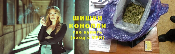 мдпв Ельня