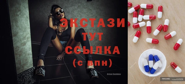 мдпв Ельня