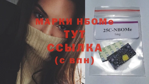 крисы Елабуга