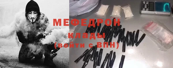 мдпв Ельня