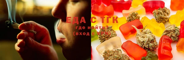 мдпв Ельня