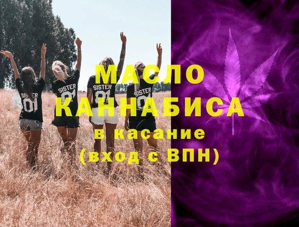 крисы Елабуга