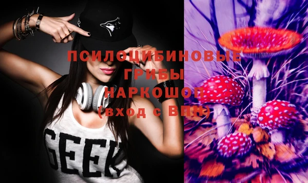 крисы Елабуга