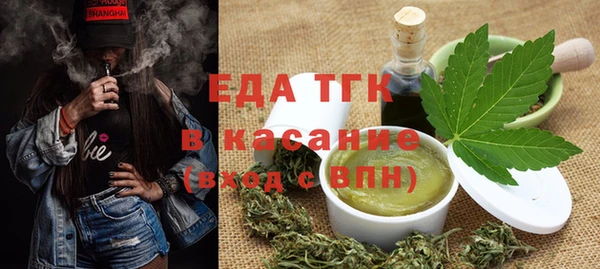 мдпв Ельня