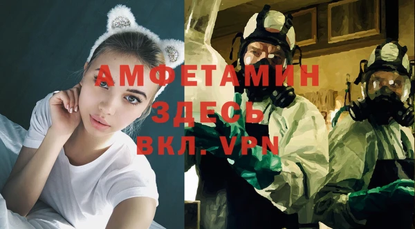 мдпв Ельня