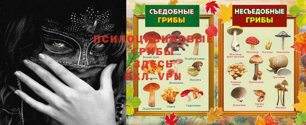 мет Заводоуковск