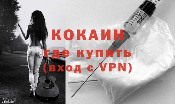 мдпв Ельня