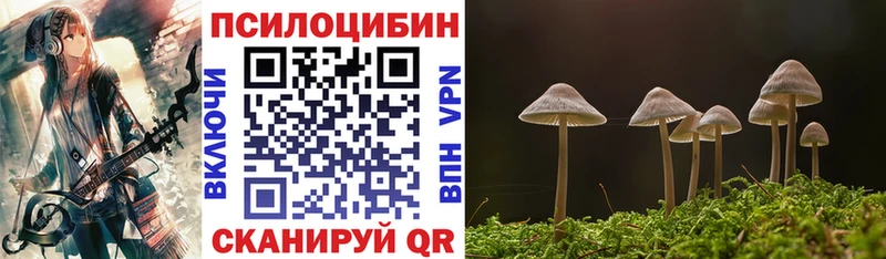 Купить Урус-Мартан Галлюциногенные грибы мухоморы