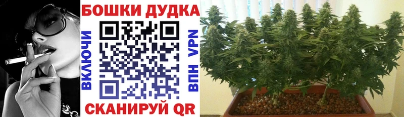 МАРИХУАНА ГИДРОПОН  Купить  Урус-Мартан 